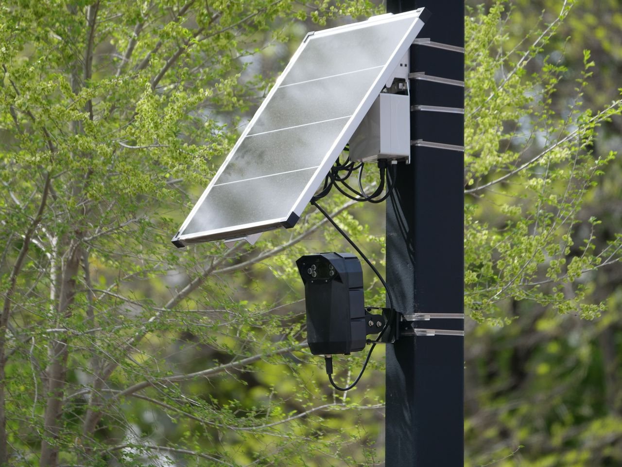 Solar-powered surveillance camera on a street pole surrounded by greenery, highlighting modern urban technology.
